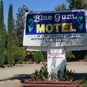 Blue Gum Motel